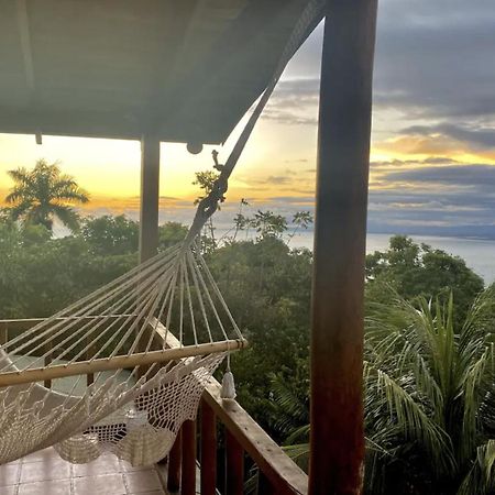 Mizaru Ocean View Hotel Manuel Antonio Quepos Eksteriør billede