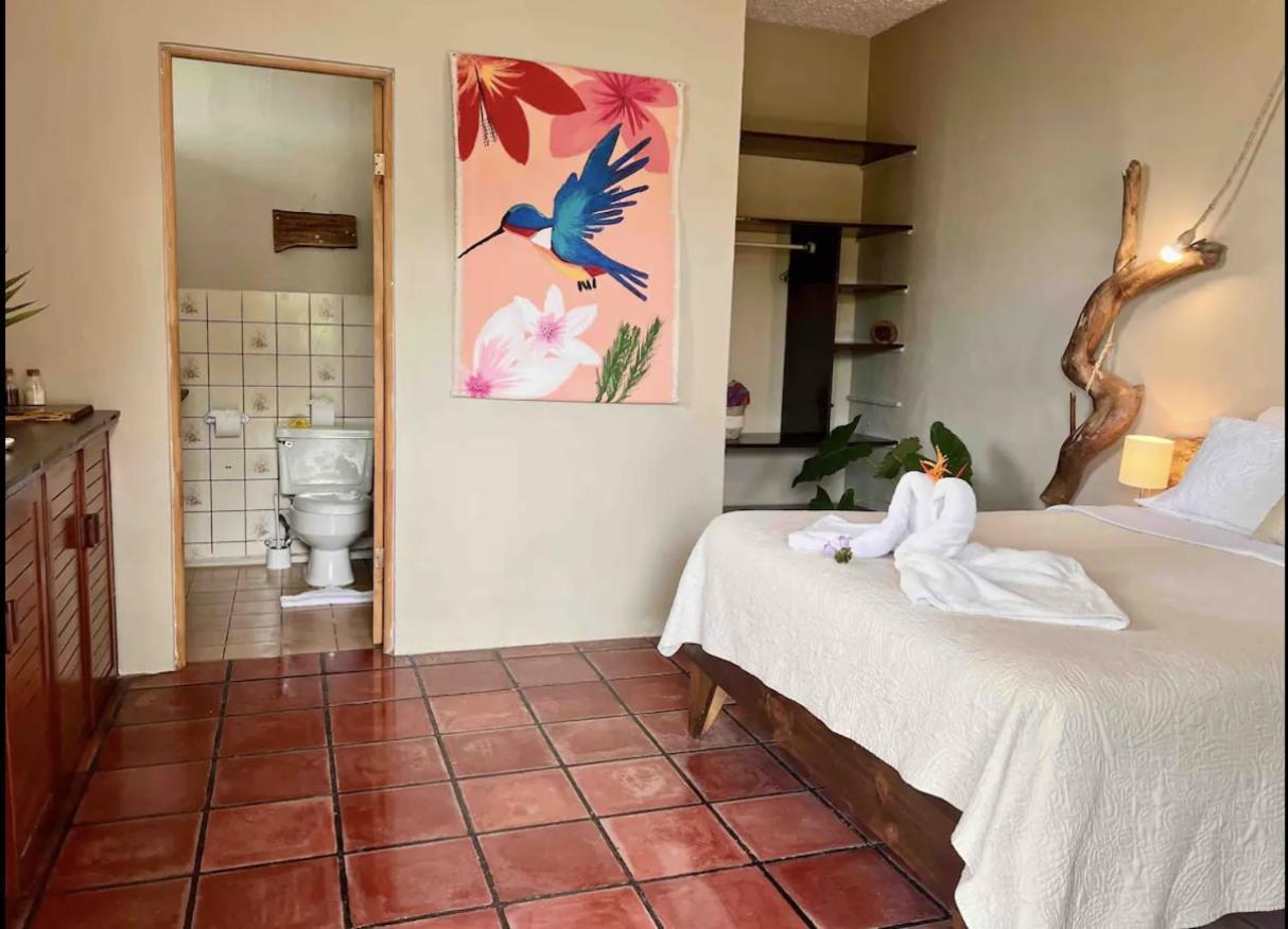 Mizaru Ocean View Hotel Manuel Antonio Quepos Eksteriør billede