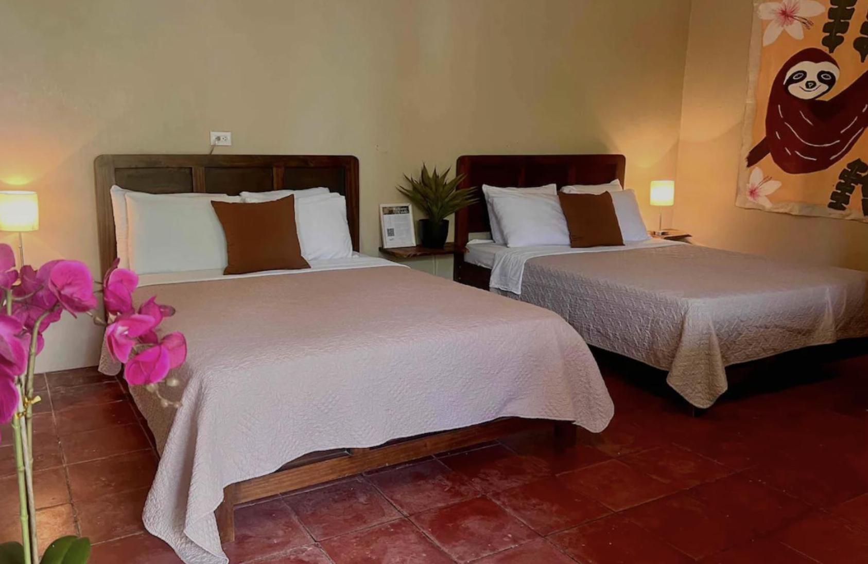 Mizaru Ocean View Hotel Manuel Antonio Quepos Eksteriør billede