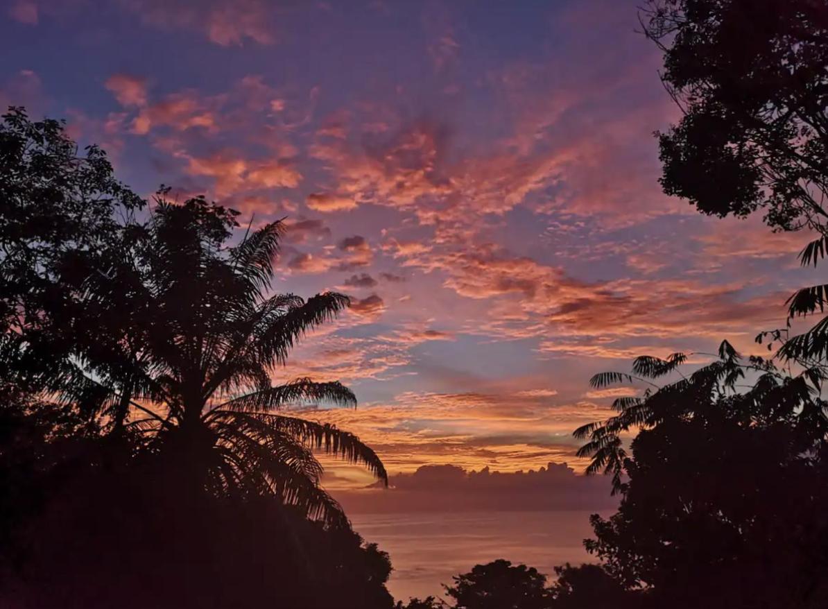 Mizaru Ocean View Hotel Manuel Antonio Quepos Eksteriør billede